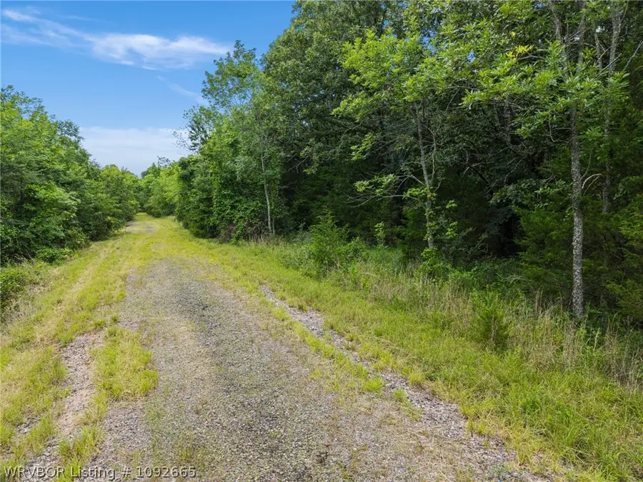 TBD Missouri Road, Charleston, AR 72933 - #3