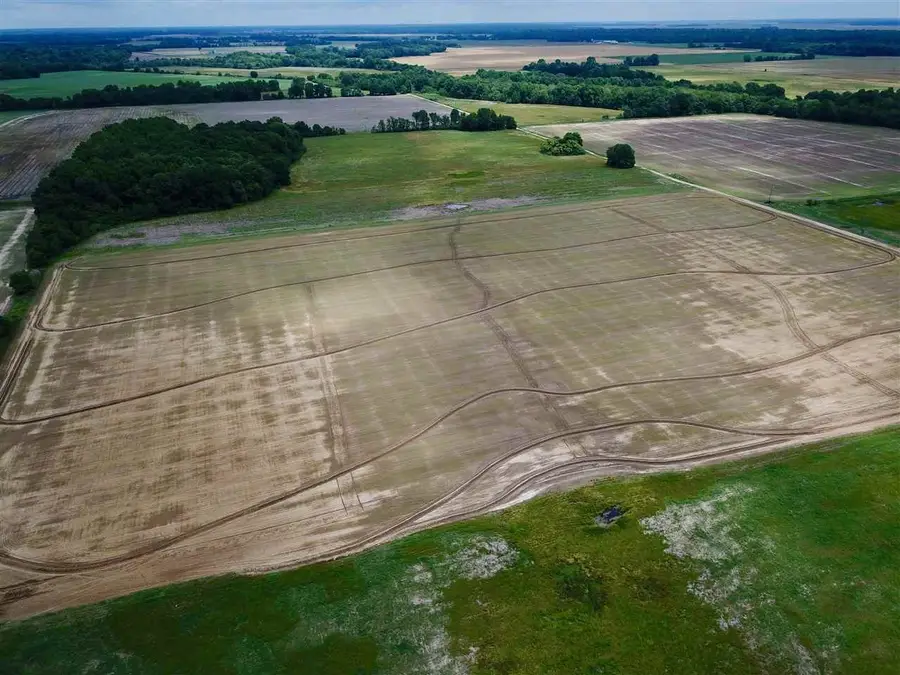 0 Dove #TBD, Cotton Plant, AR 72036 - Image #2