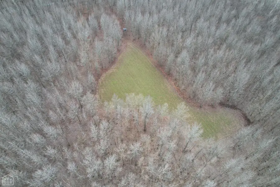 1111 Cr 505, Lake City, AR 72437 - Image #3