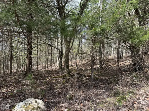 1 Off Dovewood Lane, Flippin, AR 72634