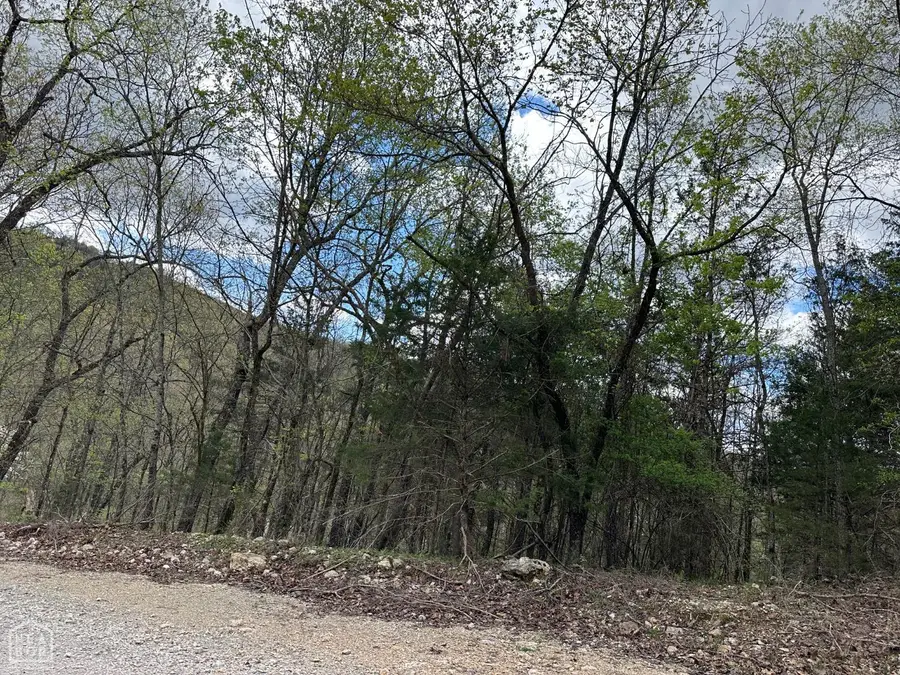 1 Off Dovewood Lane, Flippin, AR 72634 - Image #2