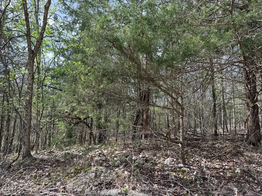 1 Off Dovewood Lane, Flippin, AR 72634 - Image #3