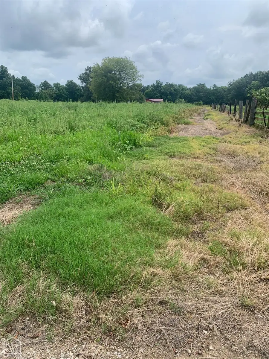 21 Acres W Oak, Walnut Ridge, AR 72476 - Image #3