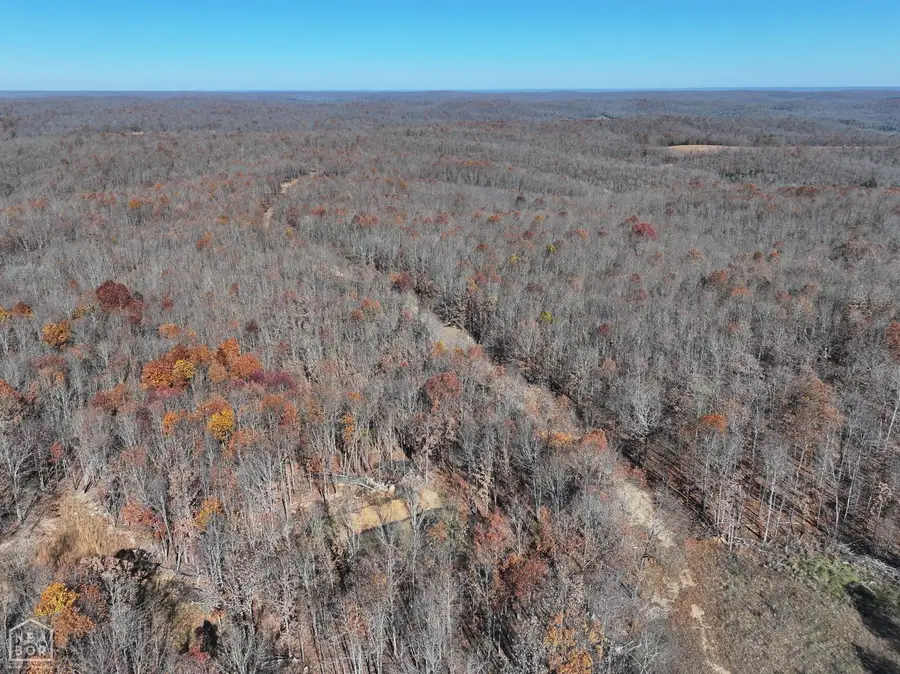 566 Bethany Road, Janes Creek, AR 72460 - Image #3