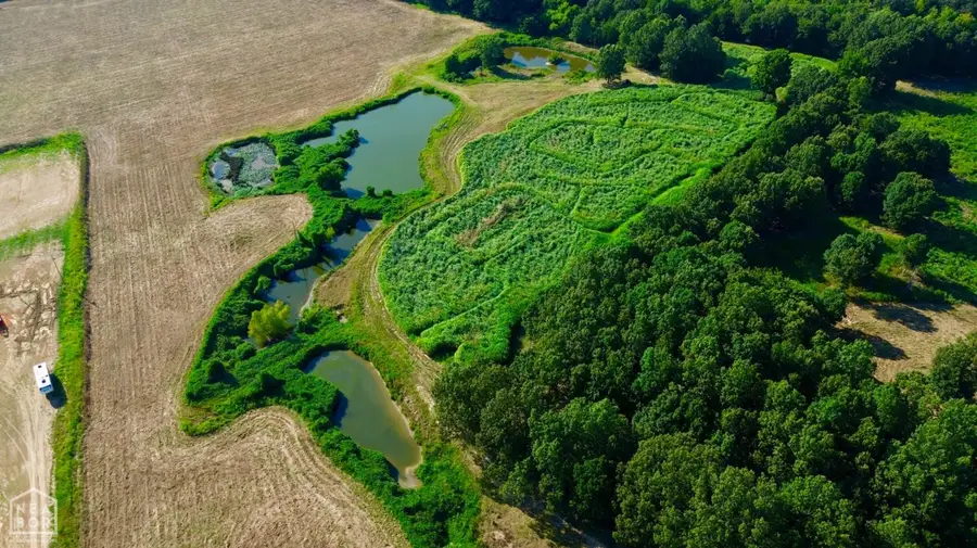 0 Highway 141 #1, Paragould, AR 72450 - Image #2