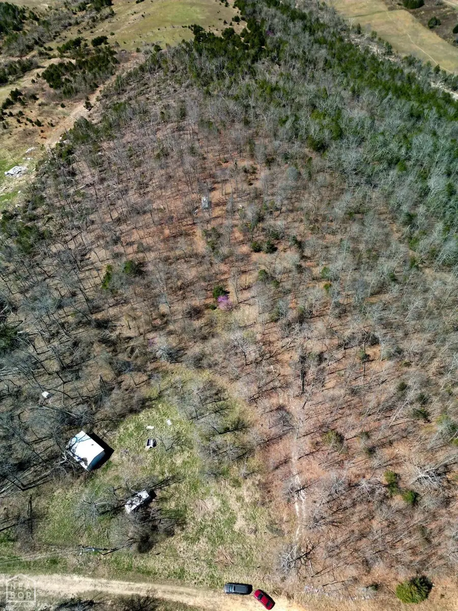 1 Deer Meadows Lane, Yellville, AR 72687 - Image #3