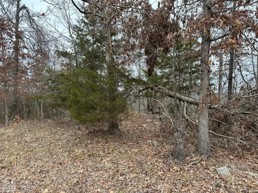 3 Deer Meadows Lane, Yellville, AR 72687 - Image #2