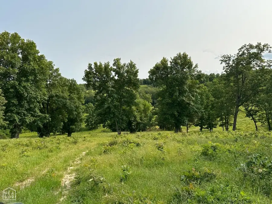 1 Mc 5014, Everton, AR 72633 - Image #2