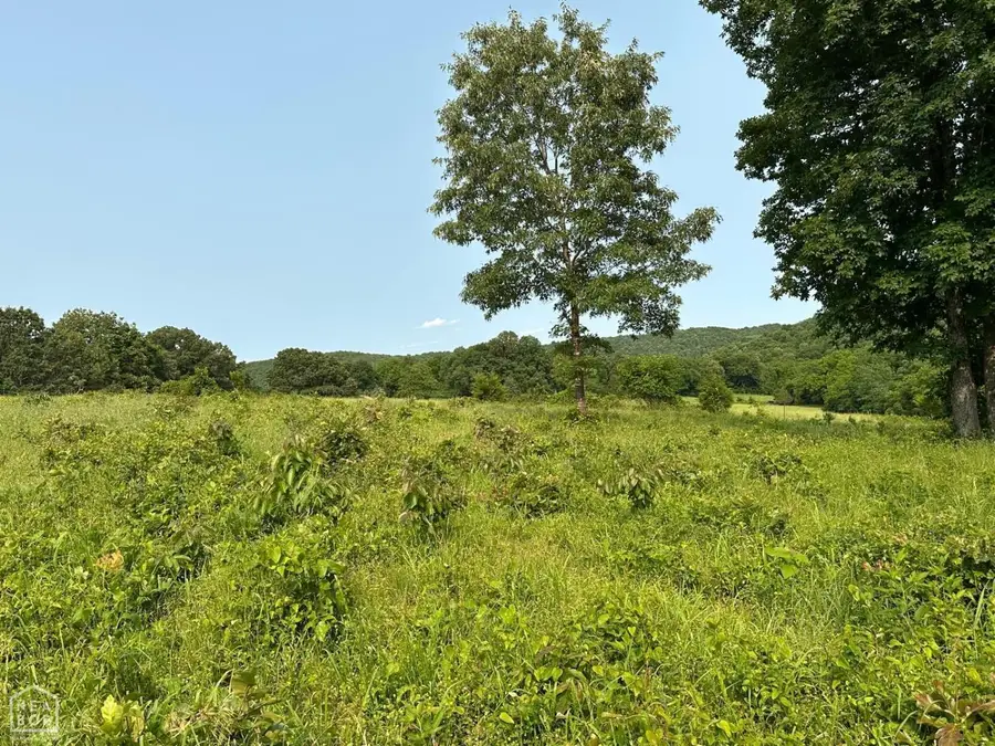 1 Mc 5014, Everton, AR 72633 - Image #3