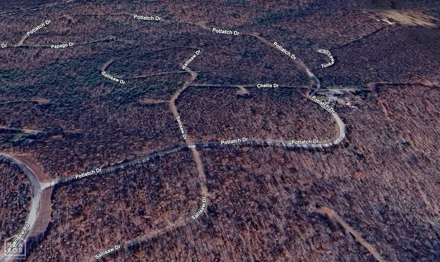 10 Potlatch, Cherokee Village, AR 72529 - Image #2