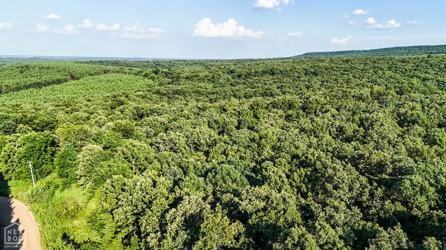 0 SE Rocky Rd/ball Rd Ne, Bradford, AR 72020 - Image #2
