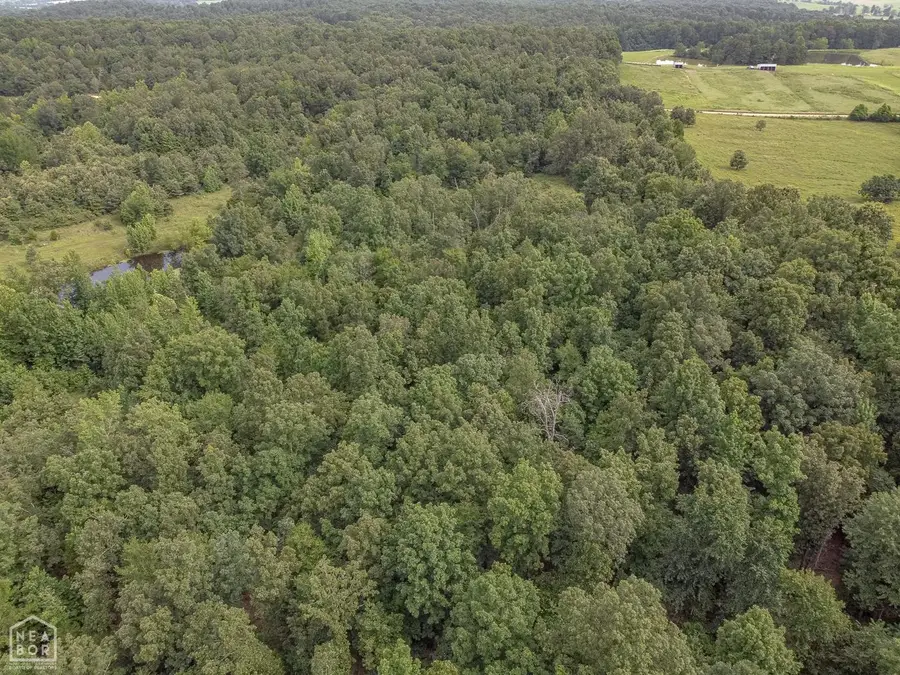 4152 Ponds Tract 6, Maynard, AR 72444 - Image #2