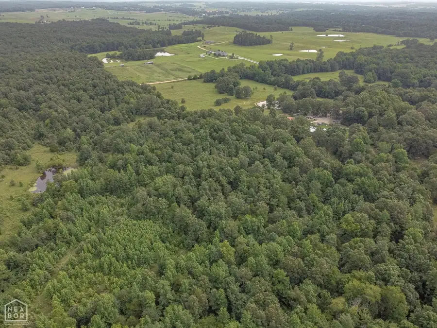 4152 Ponds Tract 6, Maynard, AR 72444 - Image #3