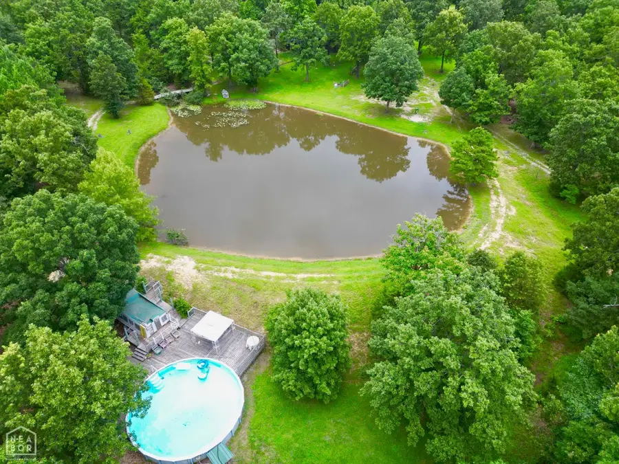 1463 Browns Chapel Rd, Viola, AR 72583 - Image #3