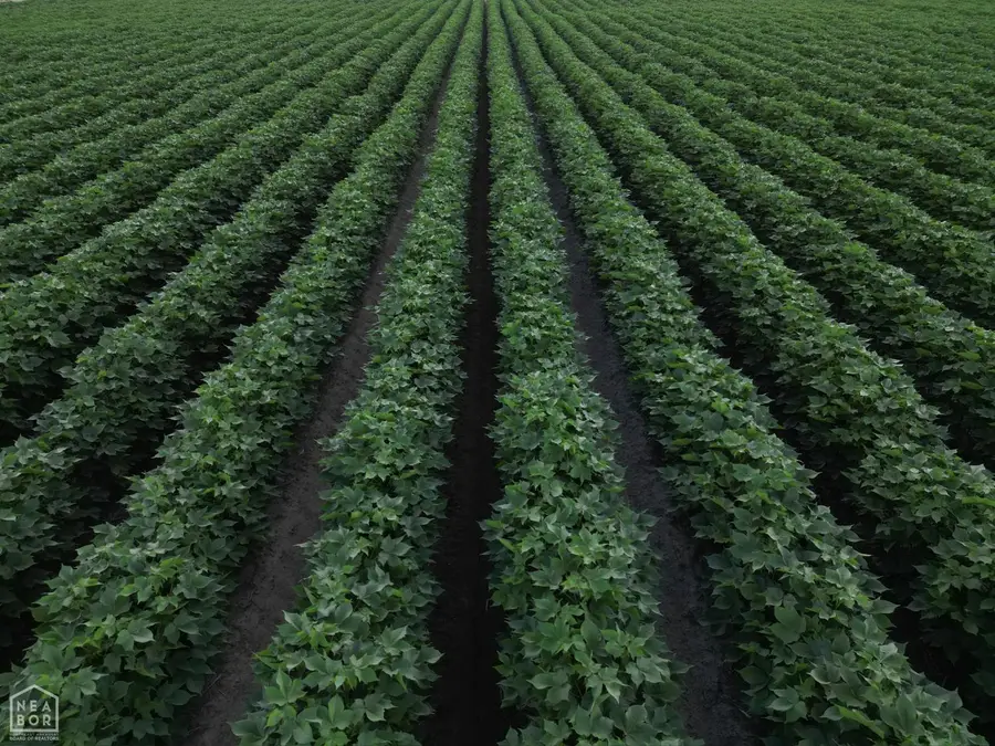 1111 College Farm Lane, Greenwood, AR 72653 - Image #2