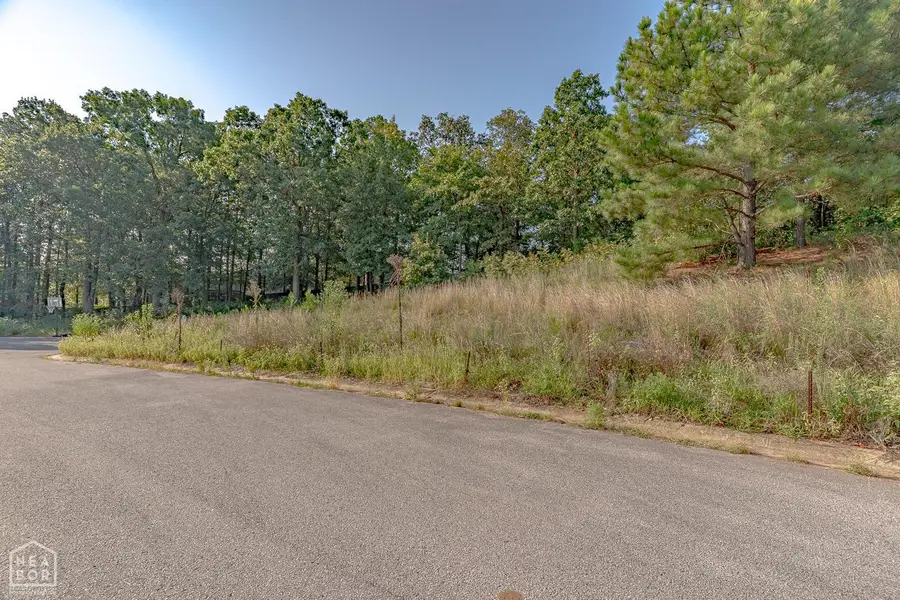 4609 Granite Cove, Jonesboro, AR 72404 - Image #2