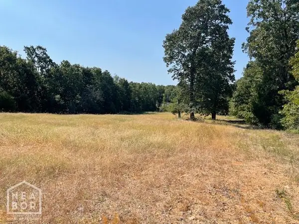 1100 Squirrel Hill Road, Glencoe, AR 72539