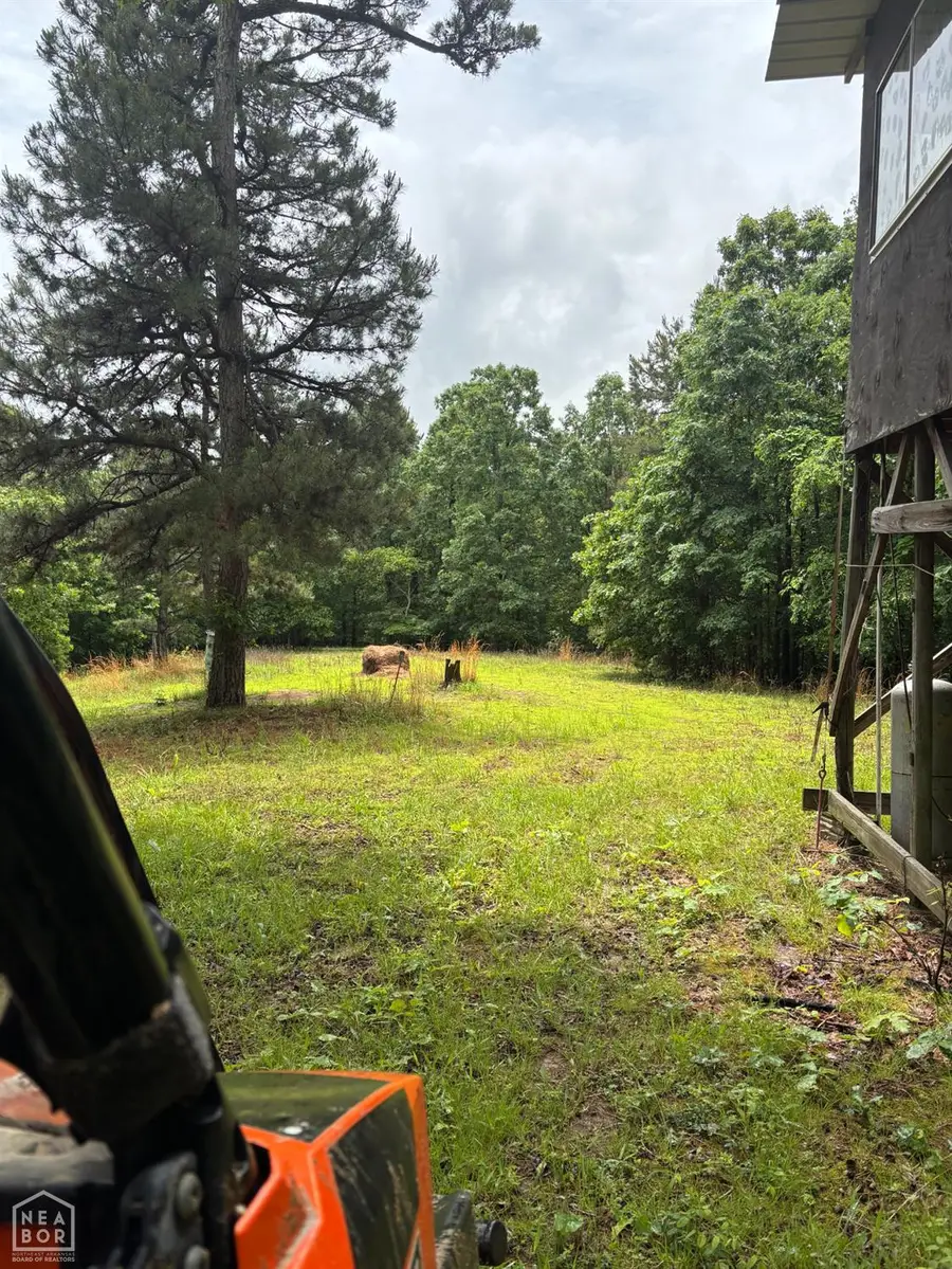 754 Greene 127 Road, Paragould, AR 72450 - Image #2