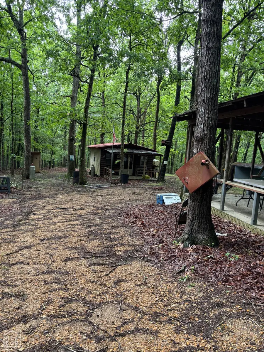 754 Greene 127 Road, Paragould, AR 72450 - Image #3