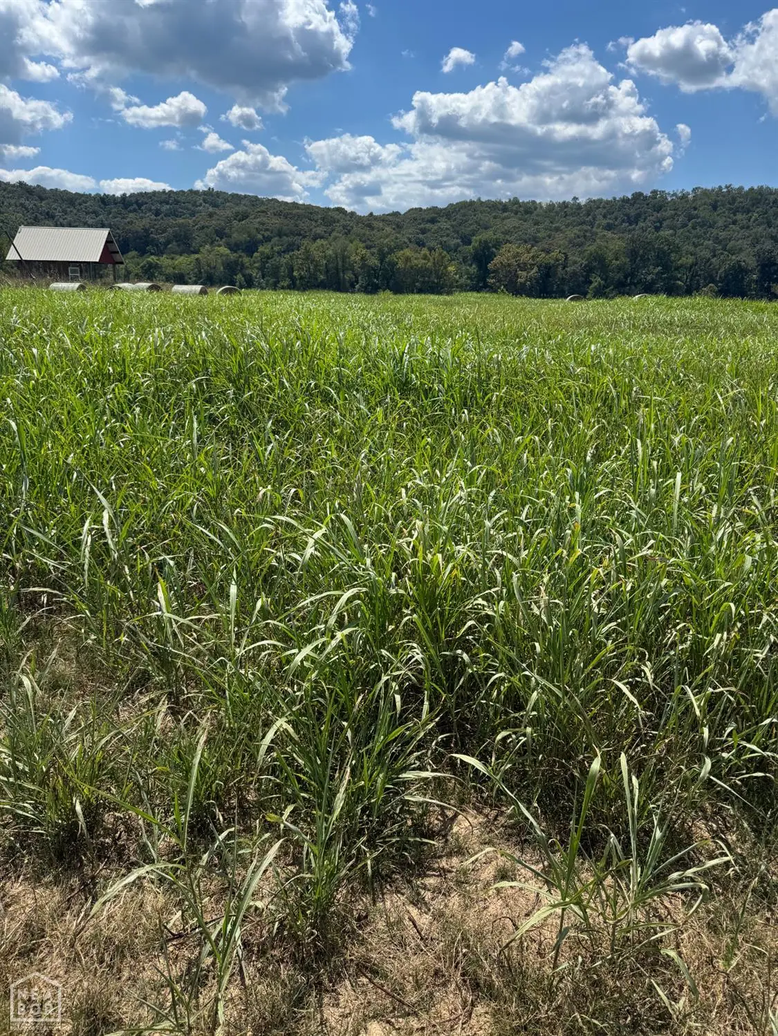 50 White River Run #59, 60, Guion, AR 72540 - Image #1