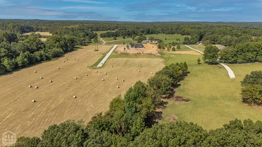 5 Acres Greene 726 Rd Tract 4, Paragould, AR 72450 - Image #3