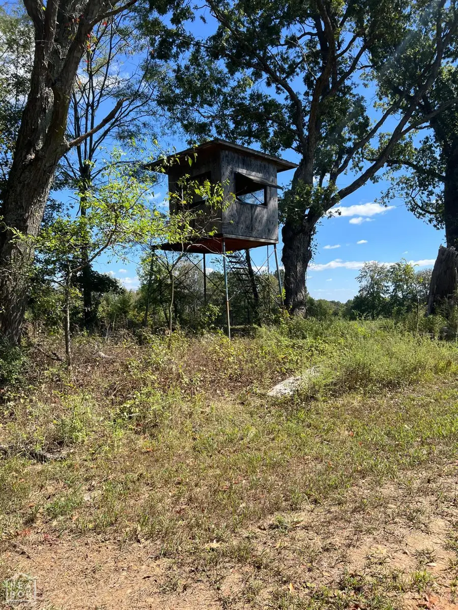 483 Greene 324 Road, Jonesboro, AR 72401 - Image #3