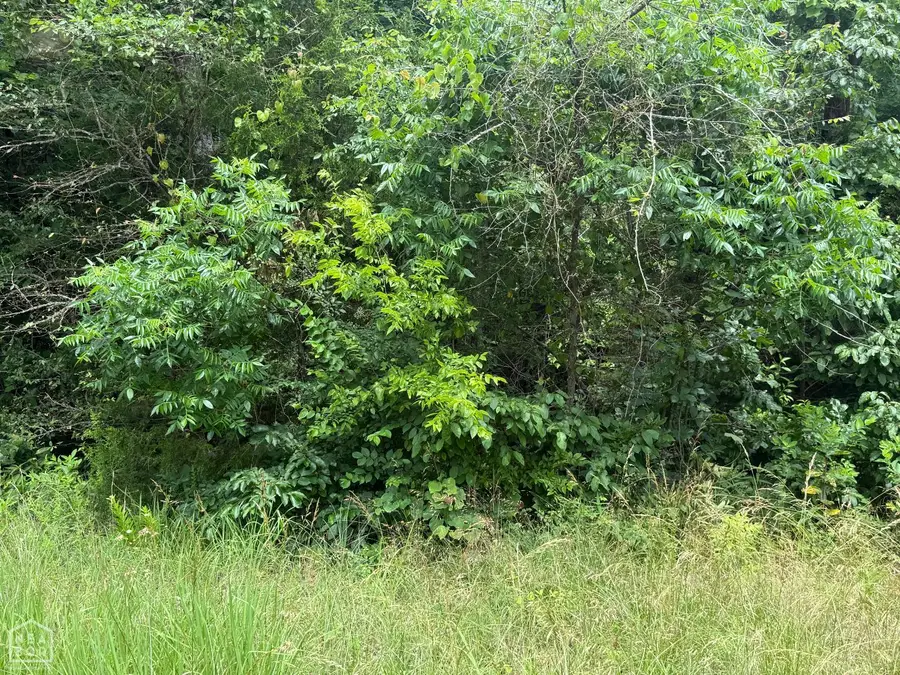 0 Iroquois Drive #00, Cherokee Village, AR 72529 - Image #2