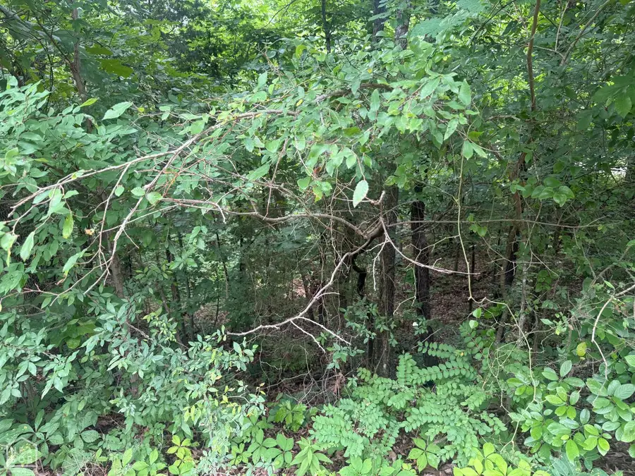 0 Iroquois Drive #00, Cherokee Village, AR 72529 - Image #3