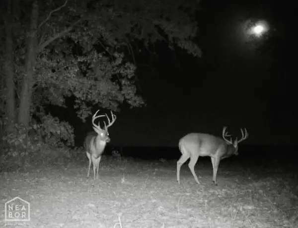 0 Undisclosed, Bono, AR 72416