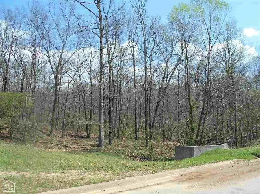 1 Oak Creek Drive #Lot, Harrisburg, AR 72432 - Image #2