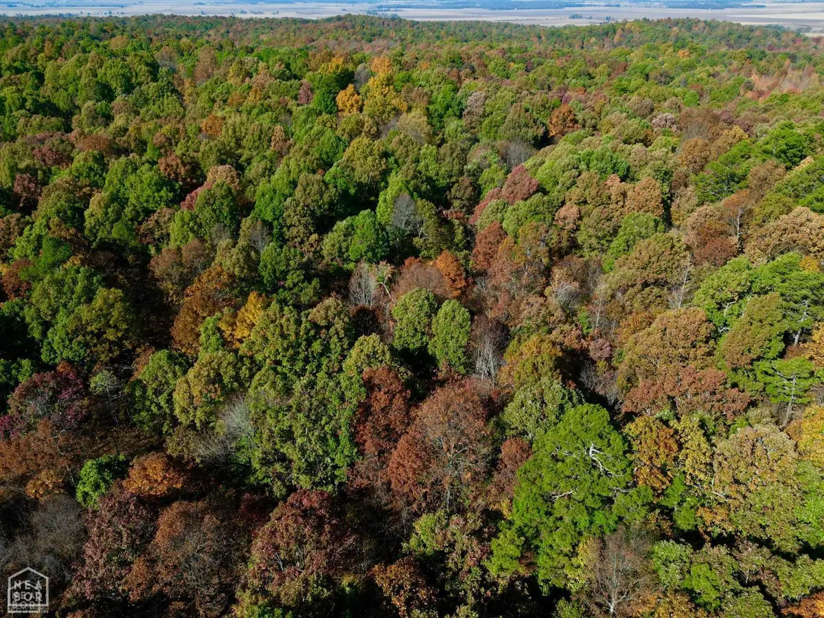 1 000 Greene 125 Road, Dalton, AR 72450 - Image #1