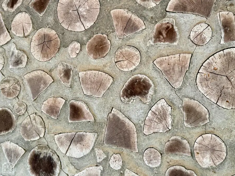 702 Fox Run, Pocahontas, AR 72455 - Image #2