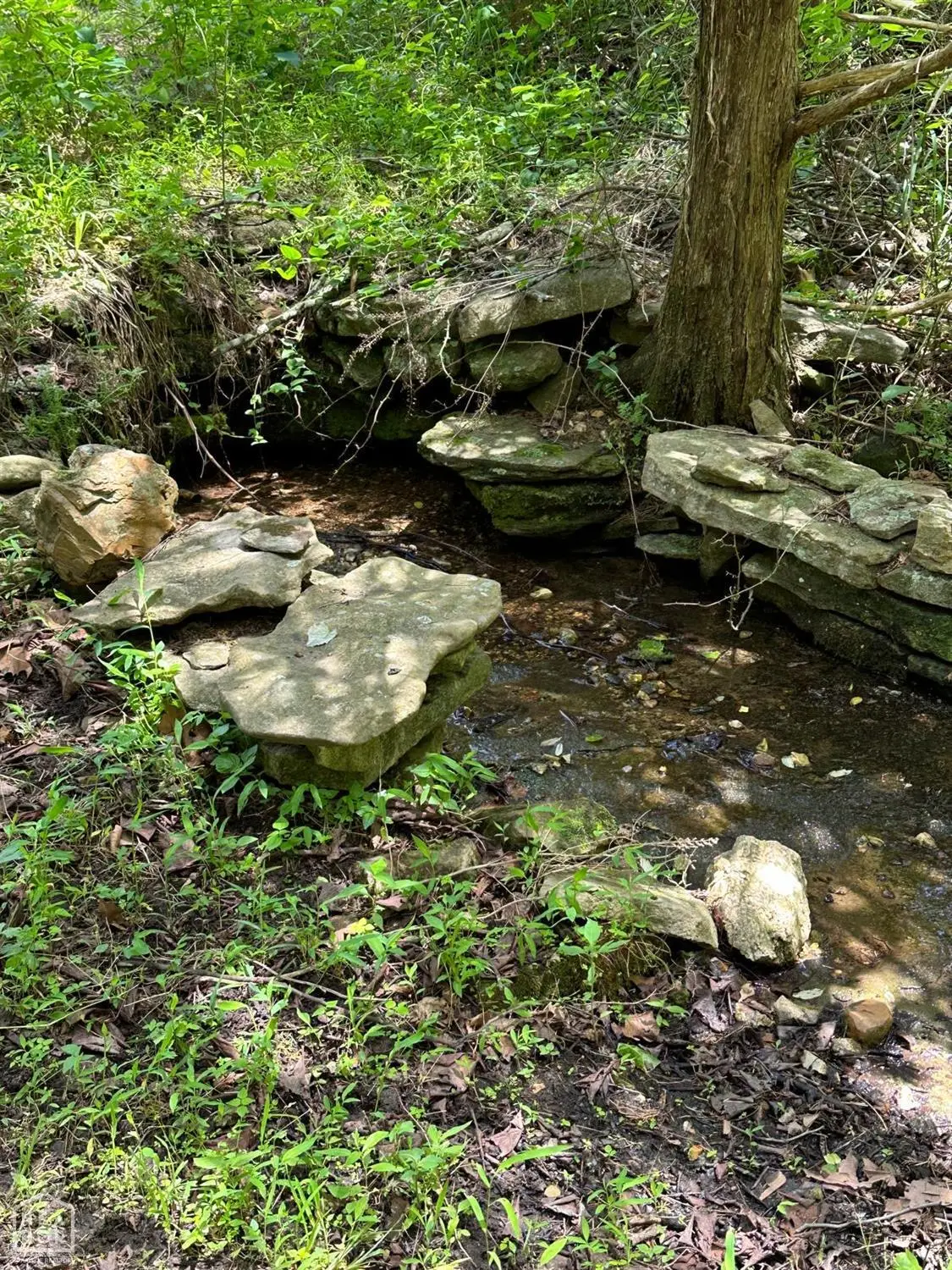 1937 Mc 5019, Yellville, AR 72687 - Image #1