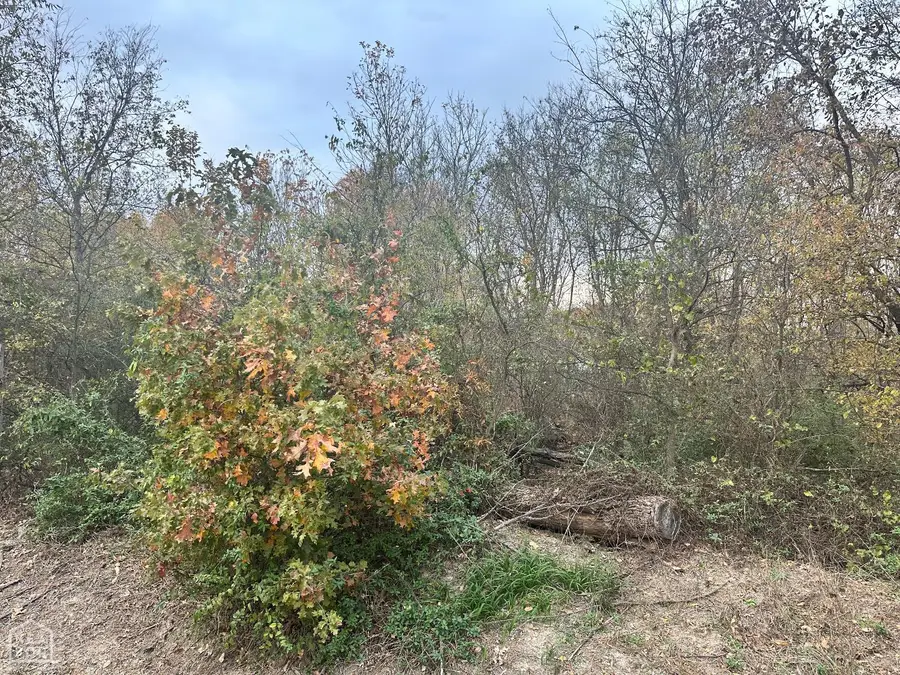 1 Main St, Alicia, AR 72410 - Image #2