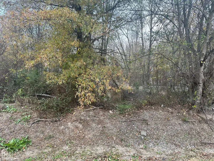 1 Main St, Alicia, AR 72410 - Image #3