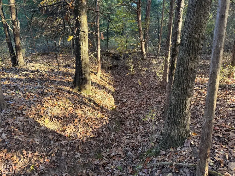 599 Highway 58, Cave City, AR 72521 - Image #3