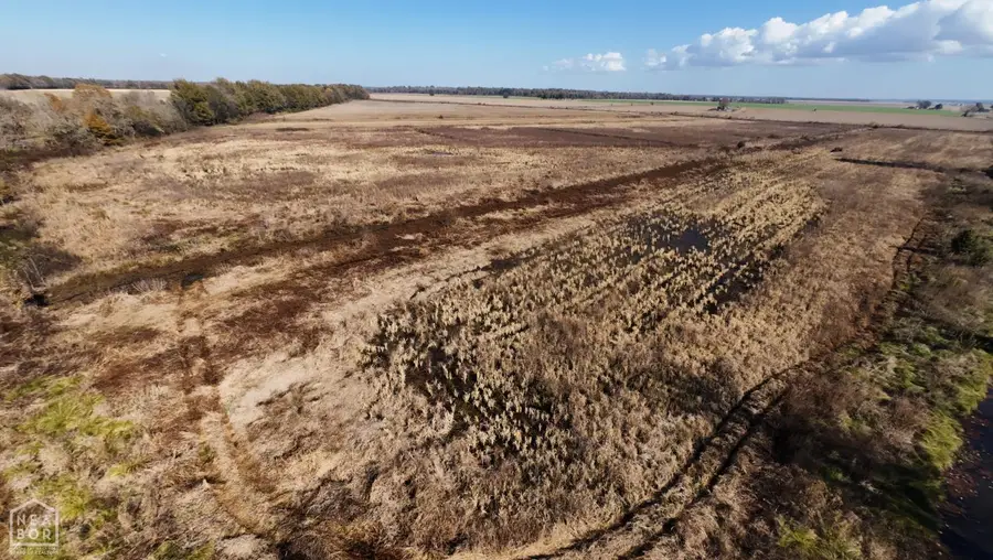 1262 Main Street, Cache Wilson, AR 73435 - Image #3