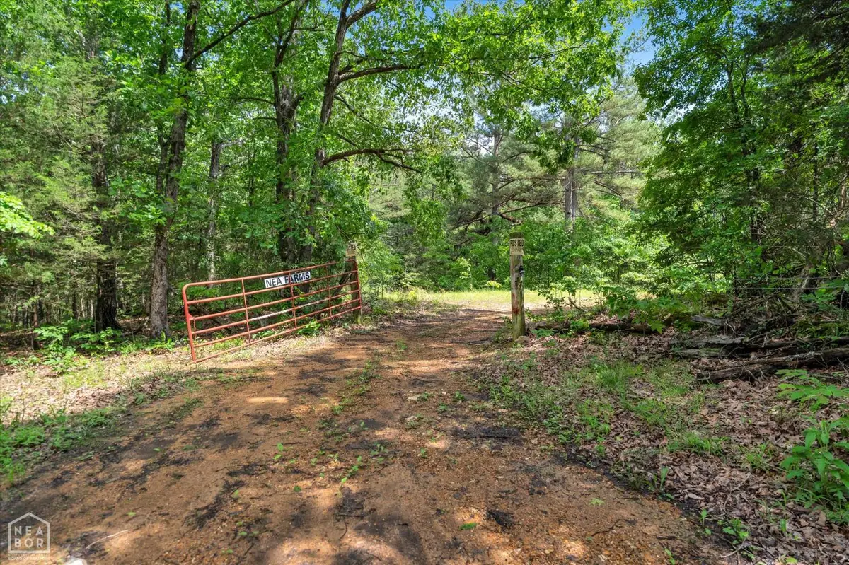 40 Bruce Mitchell Road, Water Valley, AR 72460 - Image #1