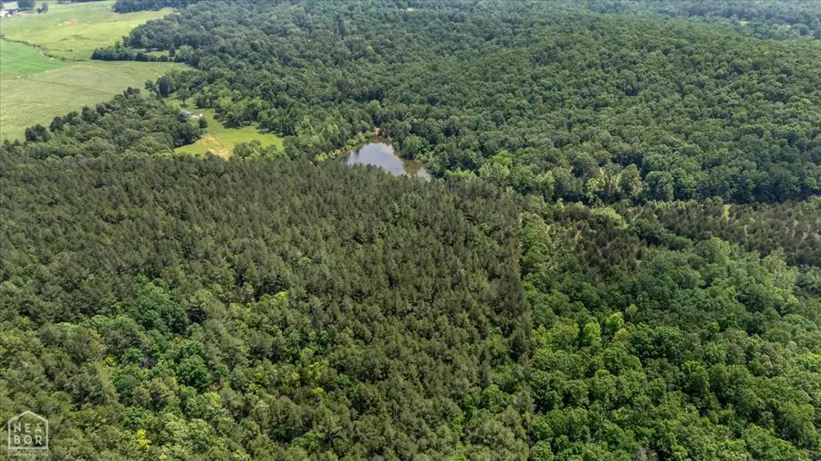 40 Bruce Mitchell Road, Water Valley, AR 72460 - Image #3