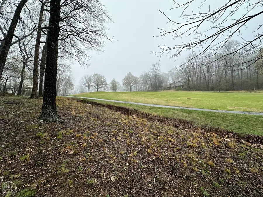 0 Oho, Cherokee Village, AR 72529 - Image #2