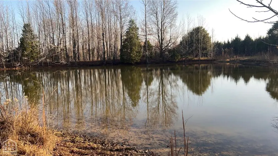 1 Clay 457 Road, Pollard, AR 72456 - Image #2