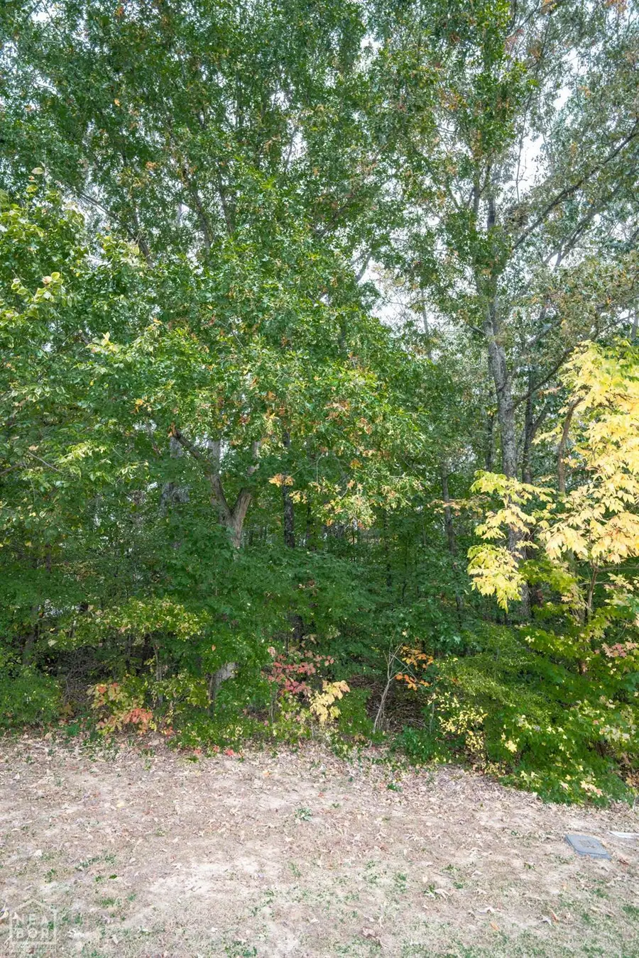 5004 Rockport, Jonesboro, AR 72404 - Image #3