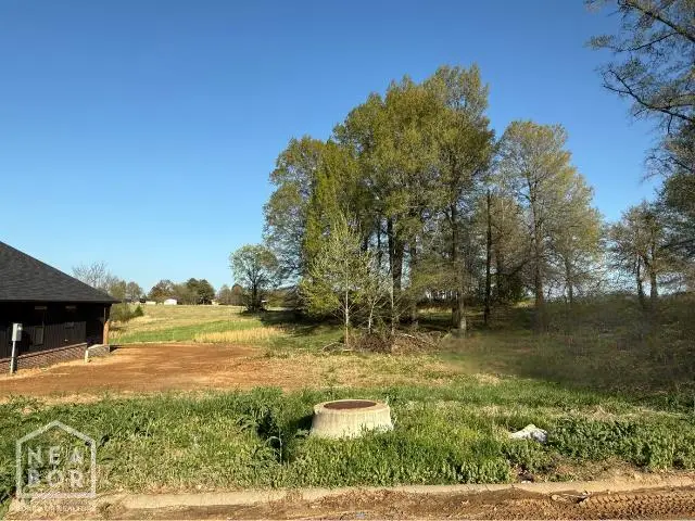 21 N 8 1/2 Street #Lot 21B, Paragould, AR 72450 - #1