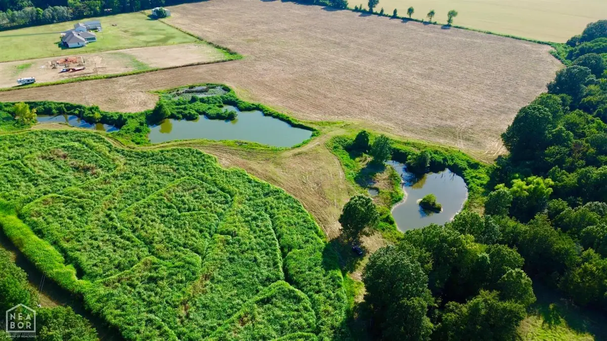 0 Highway 141, Paragould, AR 72450 - Image #1