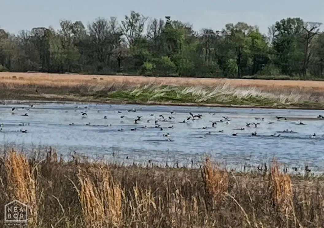 1962 Upper Lockhart Rd., Cord, AR 72524 - #1