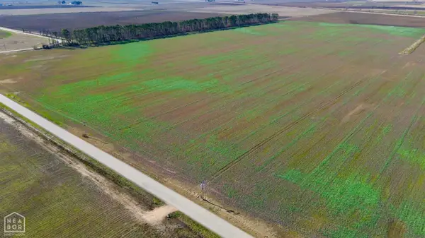 1393 Cr 508, Rector, AR 72461