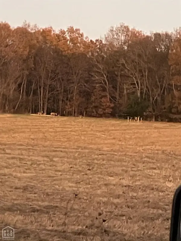 8 Woodsprings Road #acres, Jonesboro, AR 72404