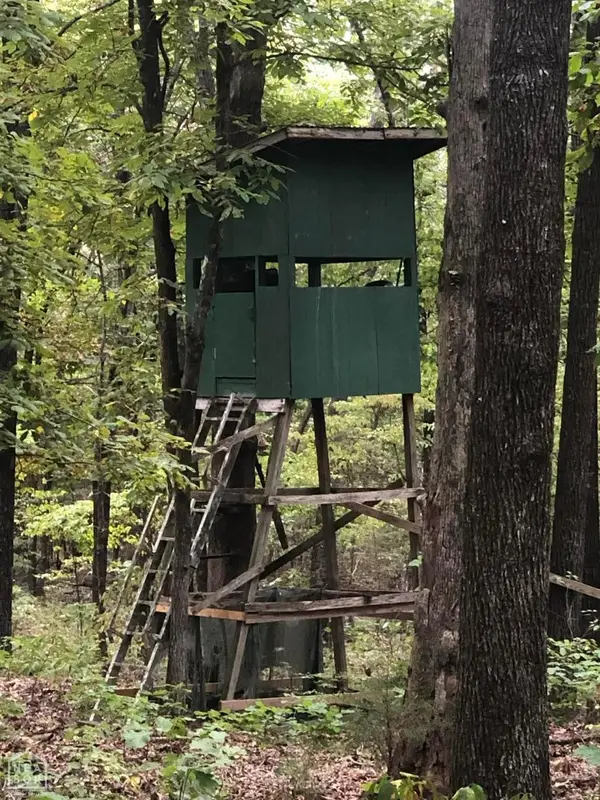 51 Buck Ridge Lane #52, Williford, AR 72482