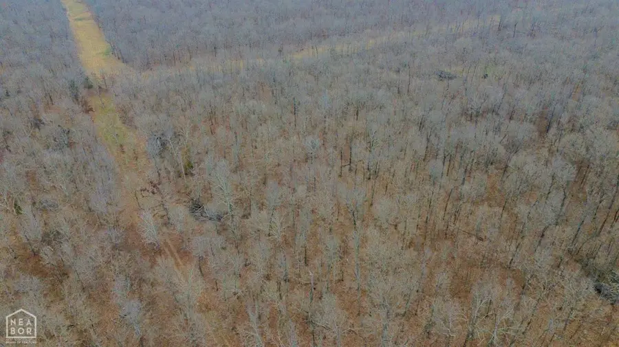 0 Baker Cemetery Rd., Williford, AR 72482 - #2