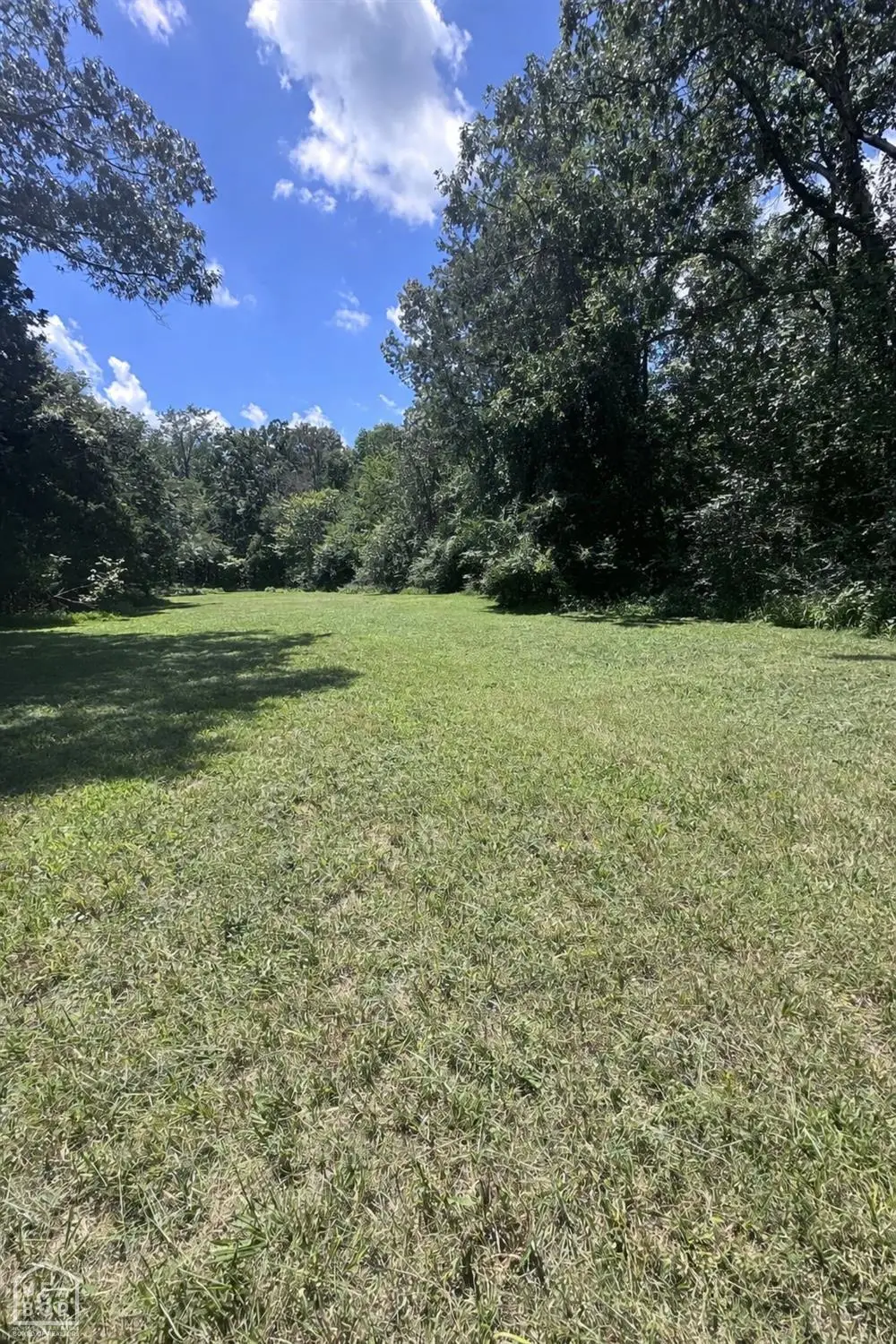 135 Summer Meadows, Mountain View, AR 72560 - #1